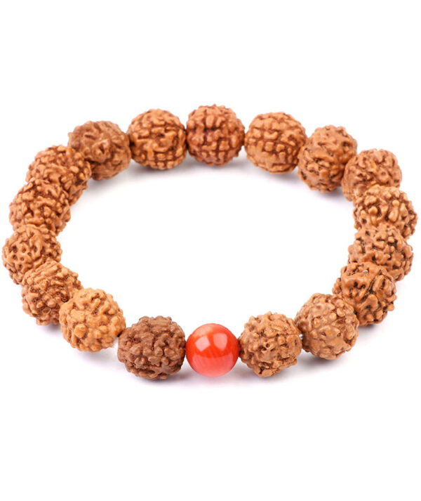 5 Mukhi Rudraksha Bracelet with Natural Coral (Moonga) Bead